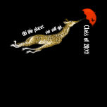 Class of 2011 Whimsical Giraffe Umbrella T-shirts