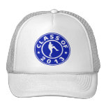 Class Of 2013 Baseball Pitcher Hats