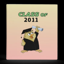 Class of binders