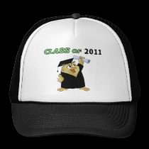 Class of hats