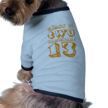 Class of two thousand 13 - Orange Pet Clothing