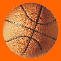 CLASSIC BASKETBALL stickers