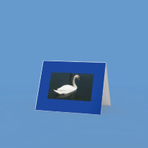 Classic Beautiful Swan cards