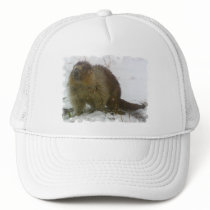 Classic Beavers Baseball Hat