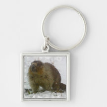 Classic Beavers Keychain
