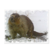 Classic Beavers Postcard