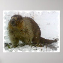 Classic Beavers Poster Print