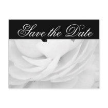 Classic Black and White Wedding postcards