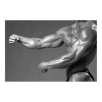 Classic Bodybuilding Arm Pose Poster posters