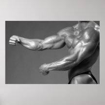 Classic Bodybuilding Gym Wall Arm Poster