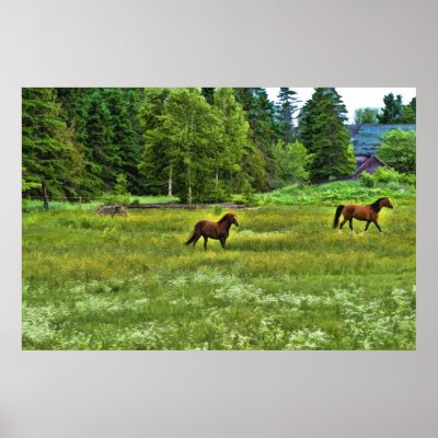 Classic Country Print by gcsmith