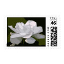 Classic Gardenia postage by littlewingdesign Classic Gardenia postage