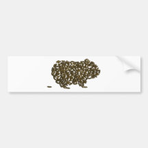 Classic Guinea Pig Bumper Sticker