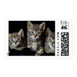 Classic Kittens Postage