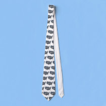 Classic Motor Home USA Road Trip ties