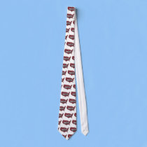Classic Motor Home USA Road Trip ties