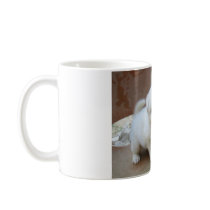 classic Mug