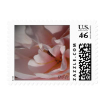 Classic Pink Rose Small Wedding Postage