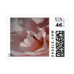 Classic Pink Rose Small Wedding Postage