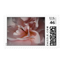 Classic Pink Rose Wedding Postage