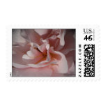 Classic Pink Rose Wedding Postage
