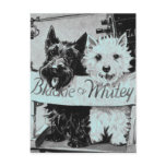 * Classic Pretty Poochies Postcard *
