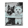 * Classic Pretty Poochies Postcard *