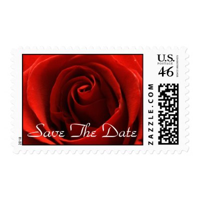 Classic Red Rose Postage Stamp