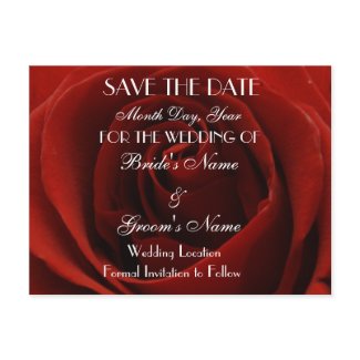 Classic Red Rose Save the Date Wedding Postcard postcard