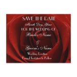 Classic Red Rose Save the Date Wedding Postcard