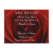 Classic Red Rose Save the Date Wedding Postcard by Sialicious Classic Red Rose Save the Date Wedding Postcard