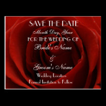 Classic Red Rose Save the Date Wedding Postcard postcards