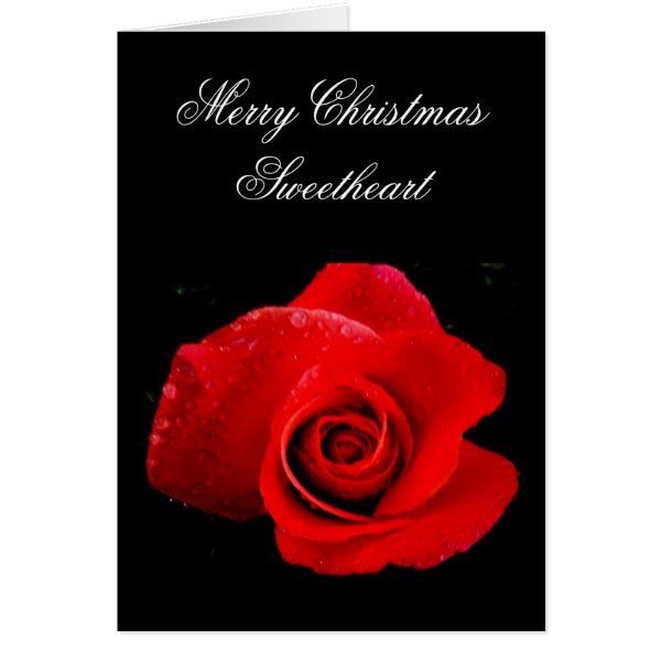 Classic Romantic red Rose Christmas Card