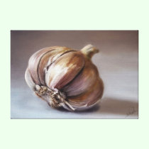 Classic still life garlic canvas canvas prints