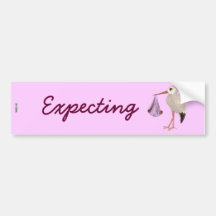Classic Stork (Pink) 2 (Baby Shower) Bumper Stickers