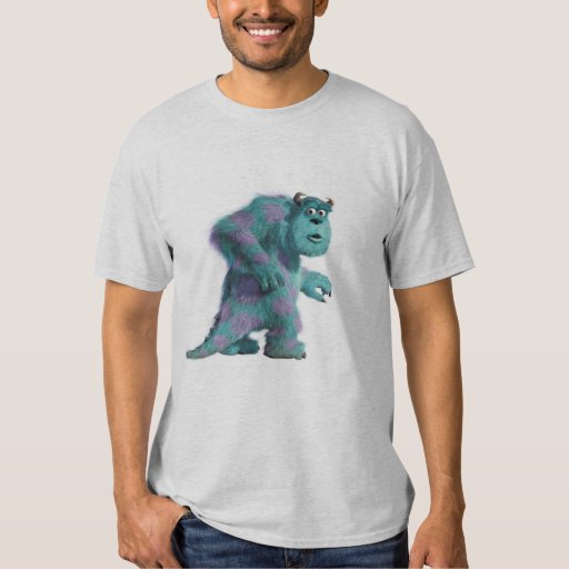 sully tshirt mens