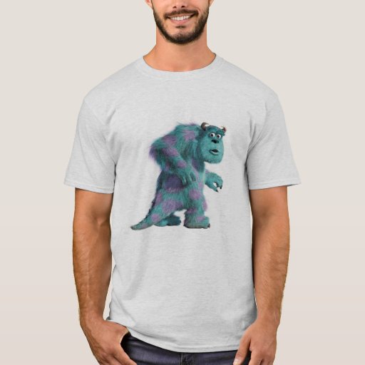 sully tshirt mens