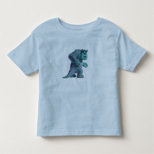 blue sully shirt