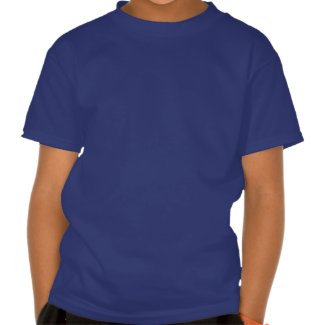 Classic Superman Logo T Shirt