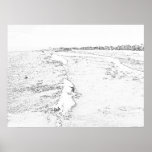 Classic Venice Surfing Coloring Book Page Print