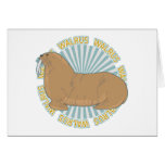 Classic Walrus Cards