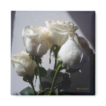 Classic White  R_8 Magnet