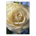 "Classic White" Series RW Card by glo53bug "Classic White" Series RW Card