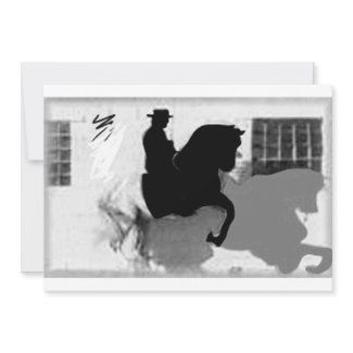 Classical Dressage 16 invitation