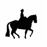 Classical Dressage 6 Sculpture Photo Sculpture