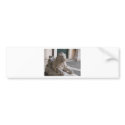 Classical Roman Lion Statue bumper stickers by gothicarts Classical Roman Lion Statue bumper stickers