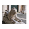 Classical Roman Lion Statue t-shirts by gothicarts Classical Roman Lion Statue t-shirts