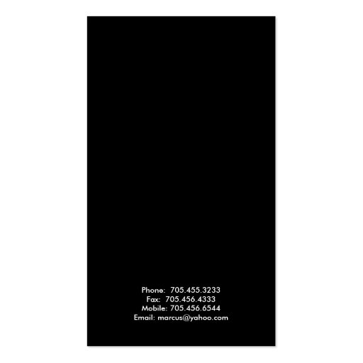 Classy Business Cards - Vertical Stripe Design (back side)
