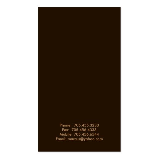 Classy Business Cards - Vertical Stripe Design (back side)