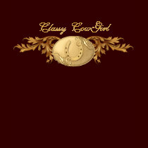 Classy Cowgirl Gold Horseshoe ladies tshirt t-shirts